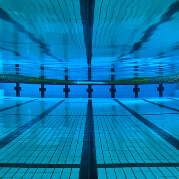 【定期】水曜日の水質【12/10】 画像