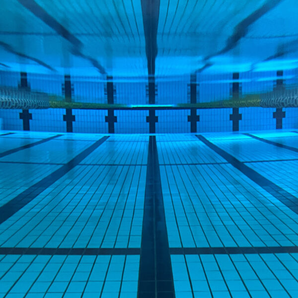 【定期】水曜日の水質【12/17】 画像