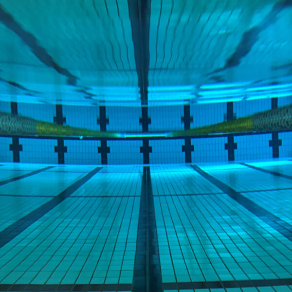 【定期】水曜日の水質【1/14】 画像