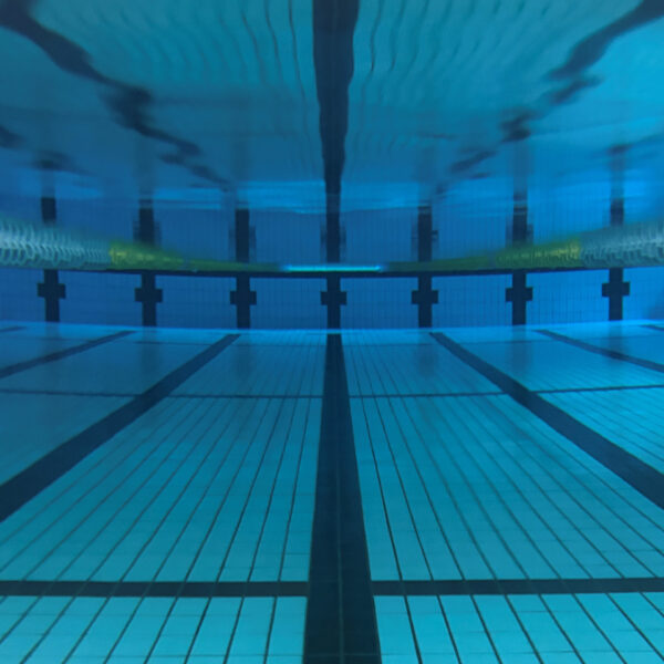 【定期】水曜日の水質【1/21】 画像