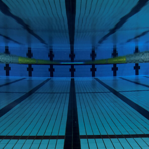 【定期】水曜日の水質【2/11】 画像