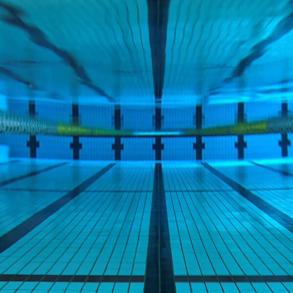 【定期】水曜日の水質【2/18】 画像