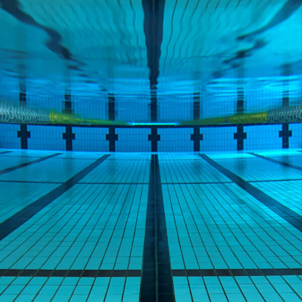 【定期】水曜日の水質【2/4】 画像