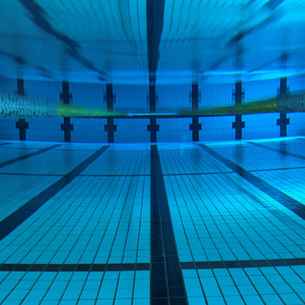 【定期】水曜日の水質【3/11】 画像