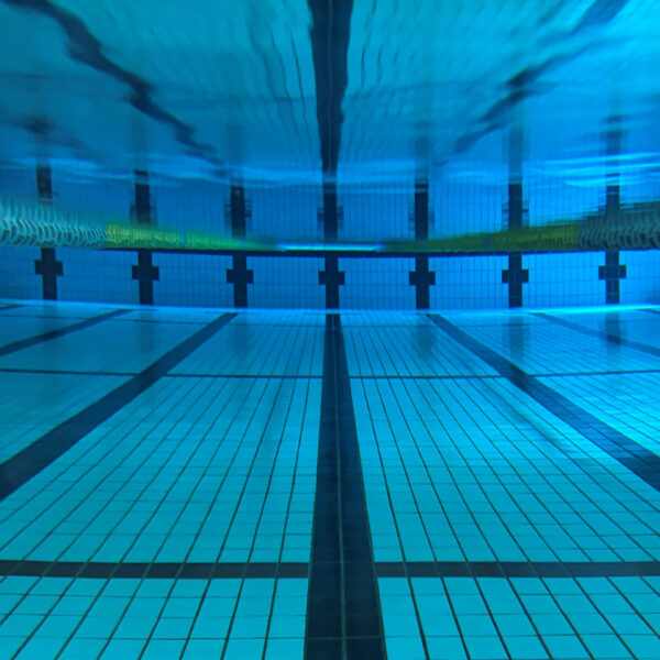 【定期】水曜日の水質【3/18】 画像