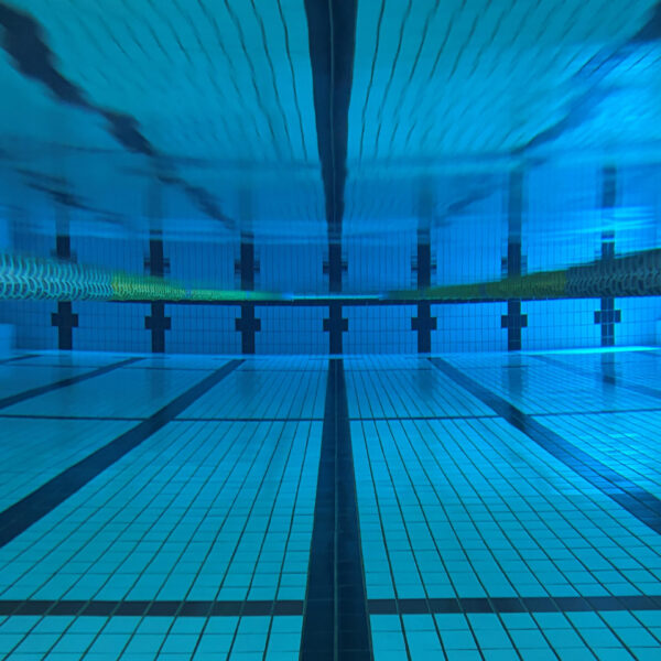 【定期】水曜日の水質【4/8】 画像