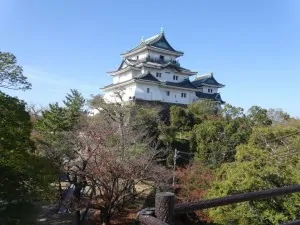 大人課外 和歌山 (141)