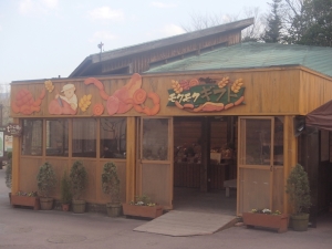 P3260004