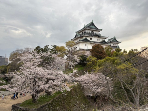 和歌山城