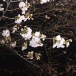 20180323_213505