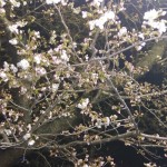 20180323_213545
