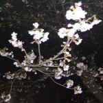 20180323_213612