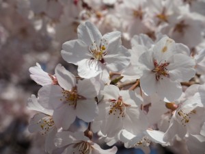 IMG_3544