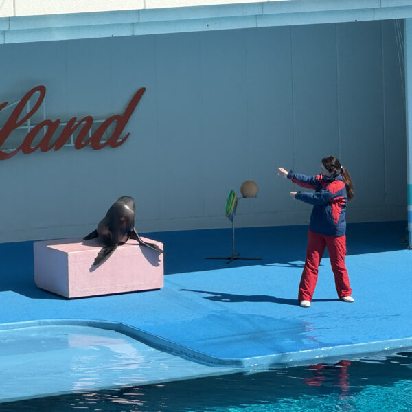 2026/3/8(日)春のえんそく🐬③ 画像