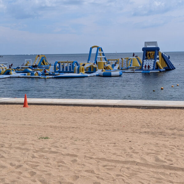 海フェス🌊① 画像