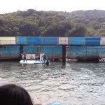 イルカ島ツアー (21)