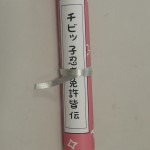 P7040252