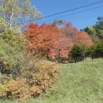 PA160051