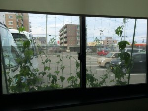 IMG_1597