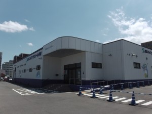 IMGA0129