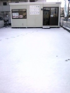 画像-0002 (003)