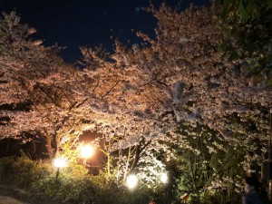 IMG_0203