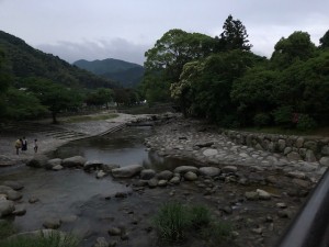 IMG_1249