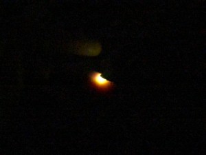 IMG_1405