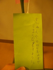 IMGA0976