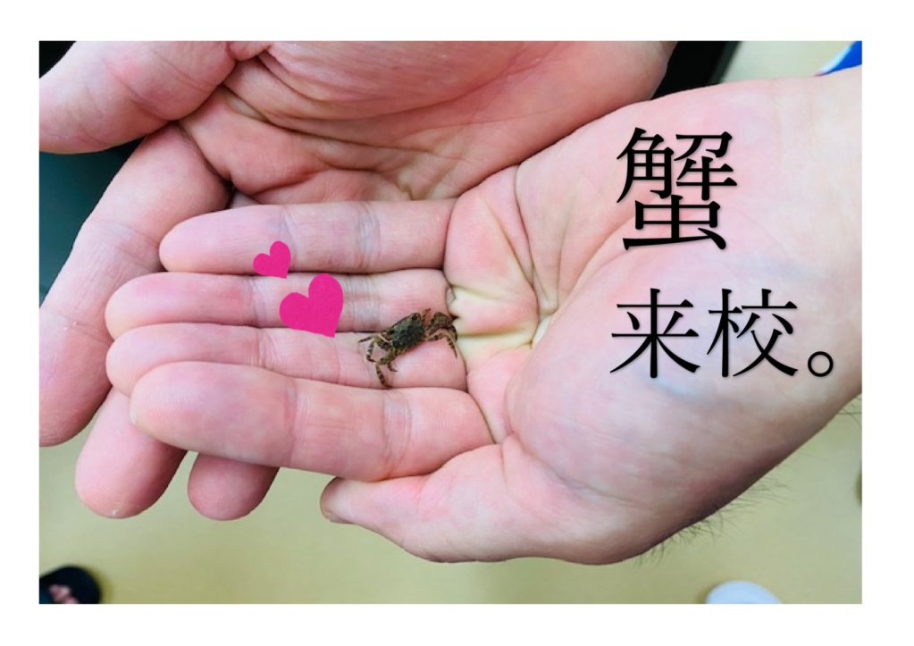 Microsoft Word – 文書 1のサムネイル