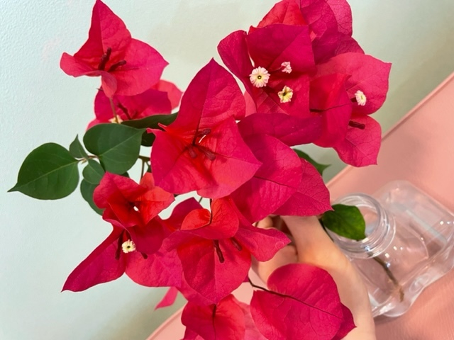 スイミング　お花