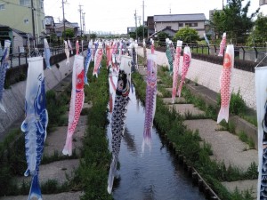 IMG_20180427_084016_20180429165540