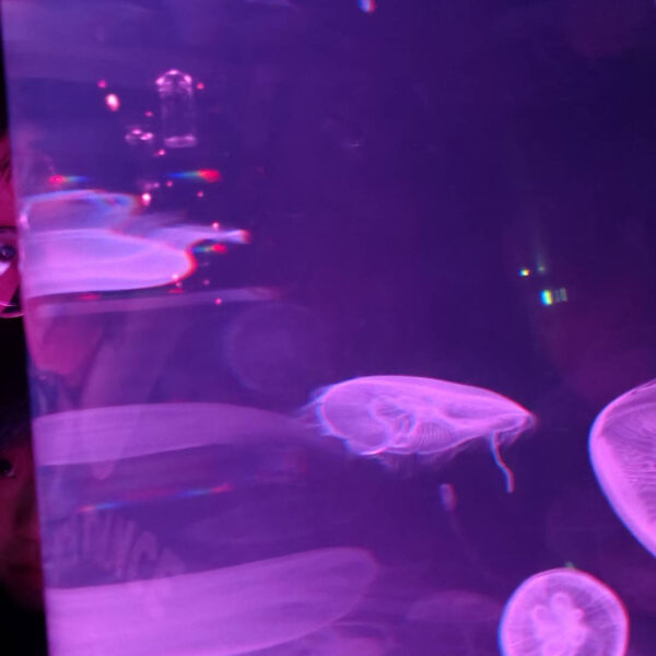 【日常】２月備忘録×自己充電×次の学び！？ 画像