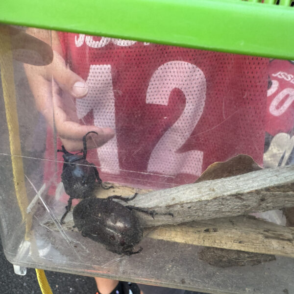 サマーキャンプへ行ってきました！　～２日目～ 画像