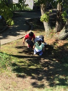 IMG_1507