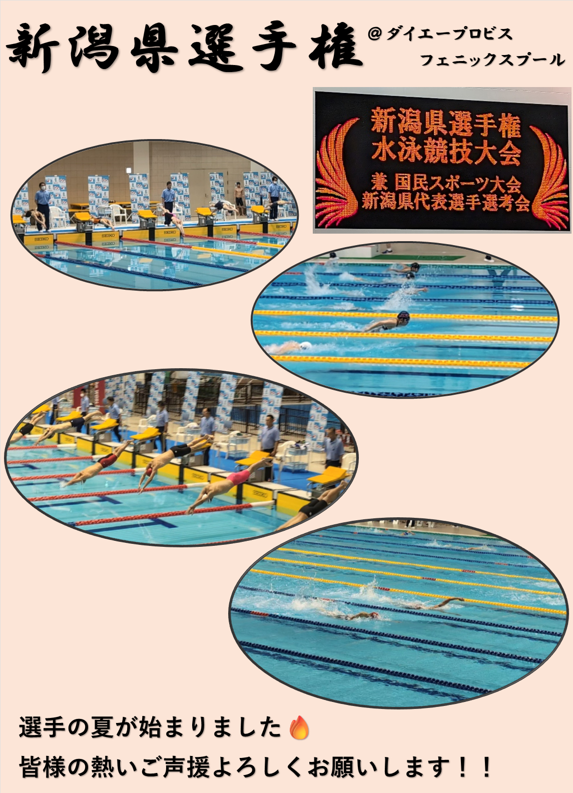 新潟県長岡市にあるダイエープロビスフェニックスプールにて新潟県選手権が行われました。予選突破した選手が多く、大会もジャンボも大きく盛り上がる大会となりました。