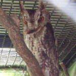 IMGA0630