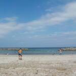 DSCN0958