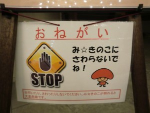 CIMG5644