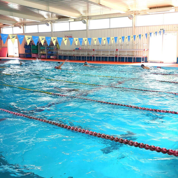 休館日練習🏊‍♂️ 画像