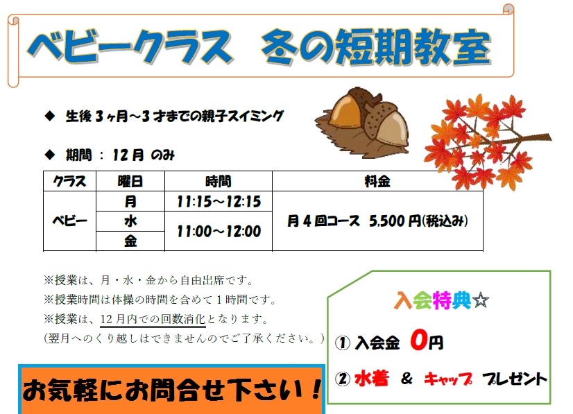 ベビー冬短’19ブログ