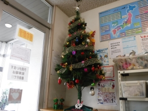 DSCF9121