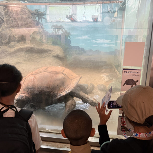 動物園＆お菓子工場見学 画像