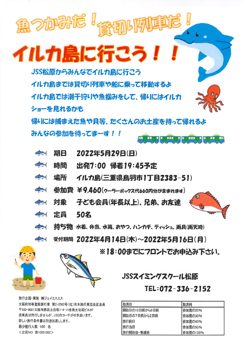 イルカ島　チラシ