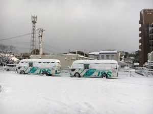 IMG_8701