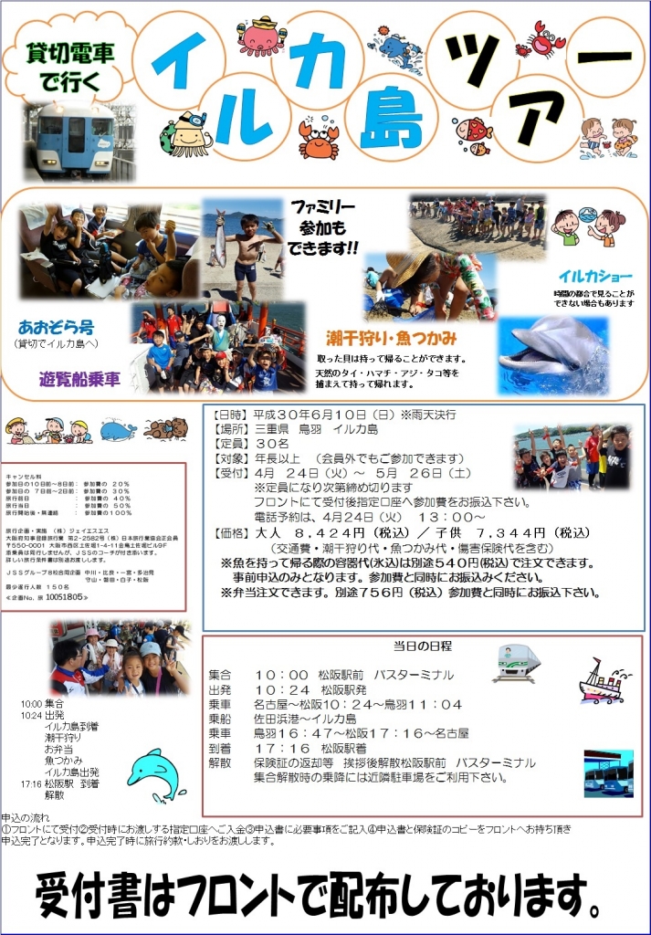 イルカ島チラシ