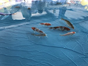 IMG_2848