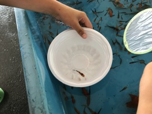 IMG_2849