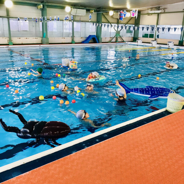 🌟🐬自由遊泳＆水泳教室開催🐬🌟 画像