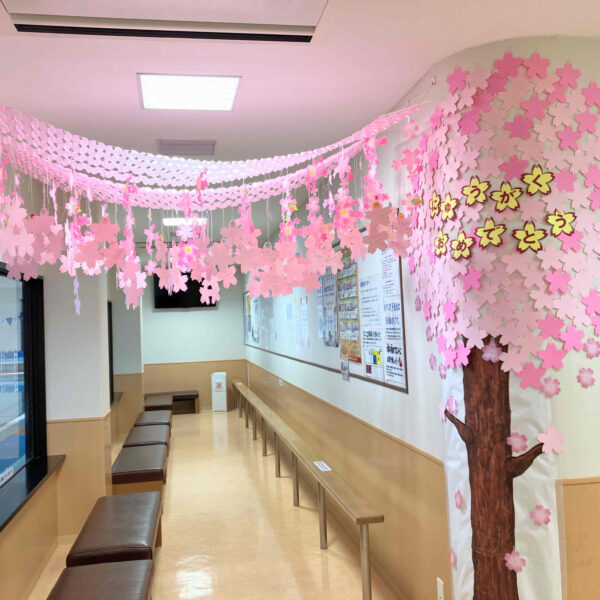 🌸新１年生の桜が咲きました！ 画像